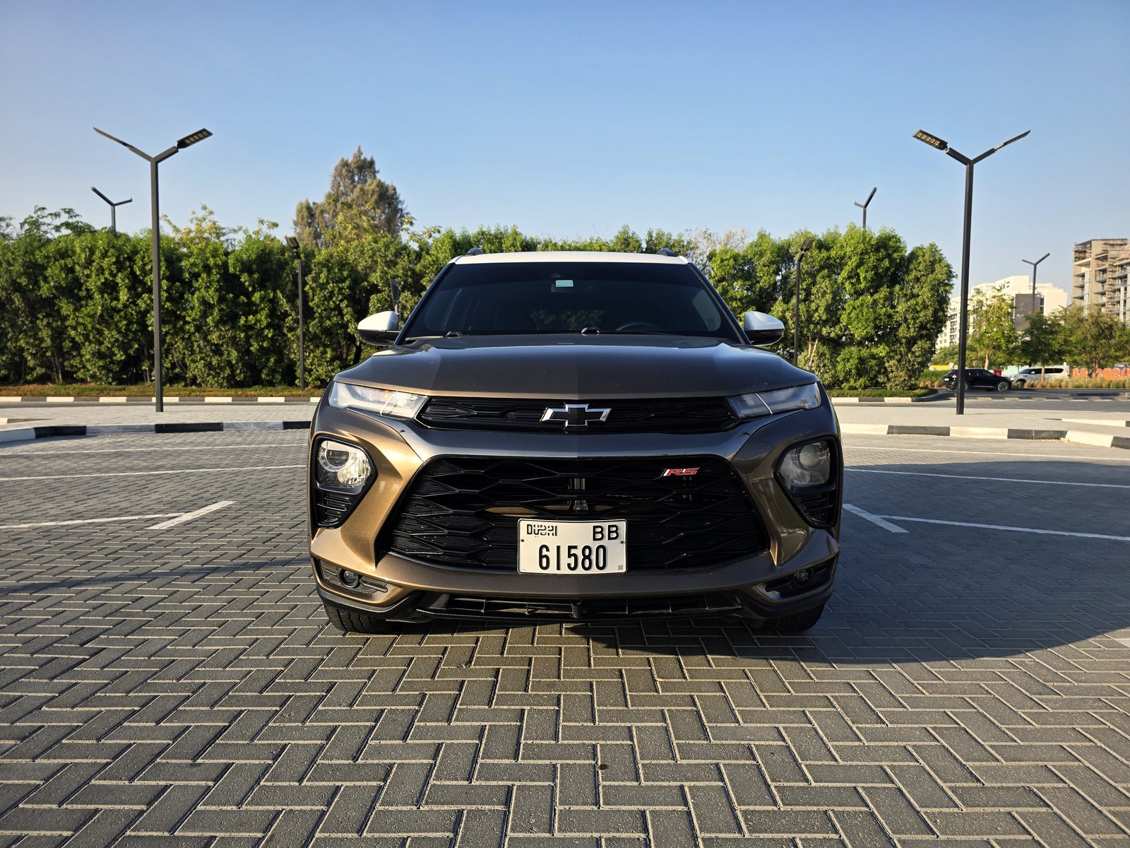 Chevrolet Trailblazer, brown