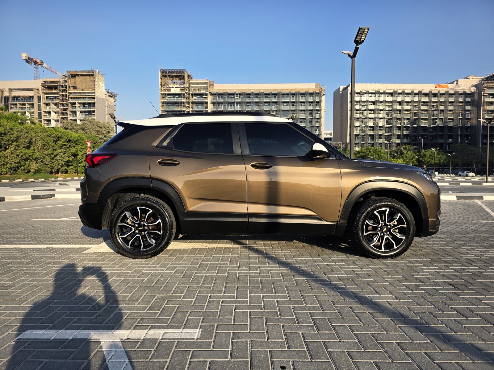 Chevrolet Trailblazer, brown